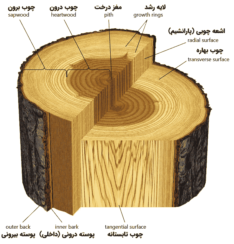 انواع چوب و کاربرد آن در نجاری