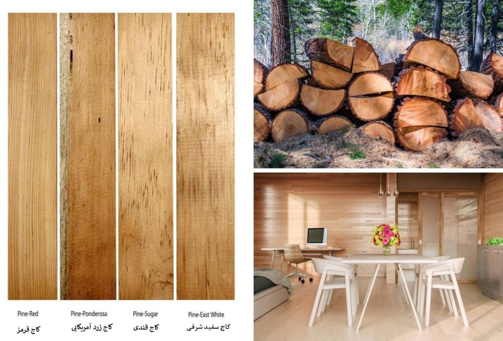 مزایای چوب درخت کاج برای ساخت مبلمان​