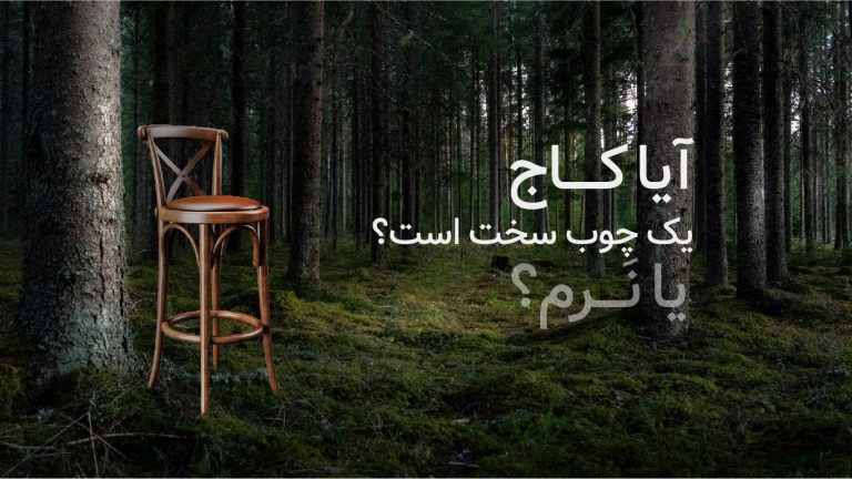 کاج چوب سخت یا نرم