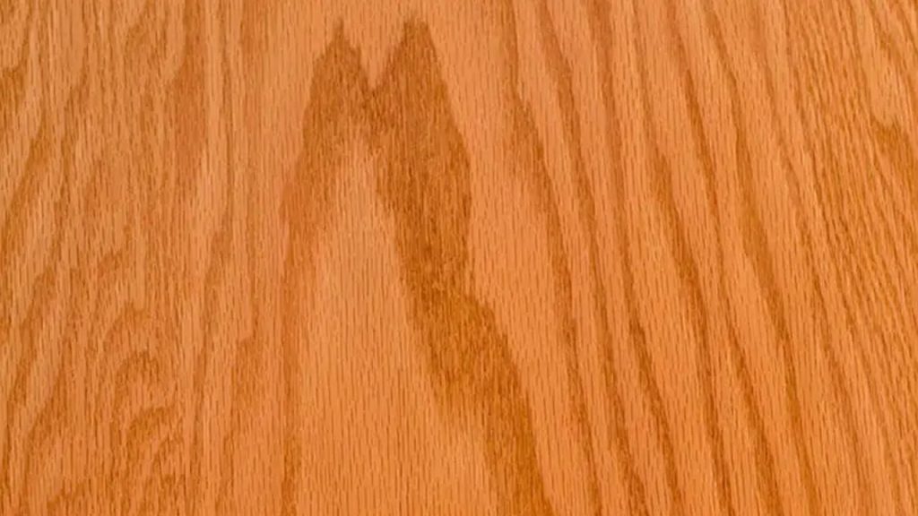 چوب بلوط قرمز (Red Oak)