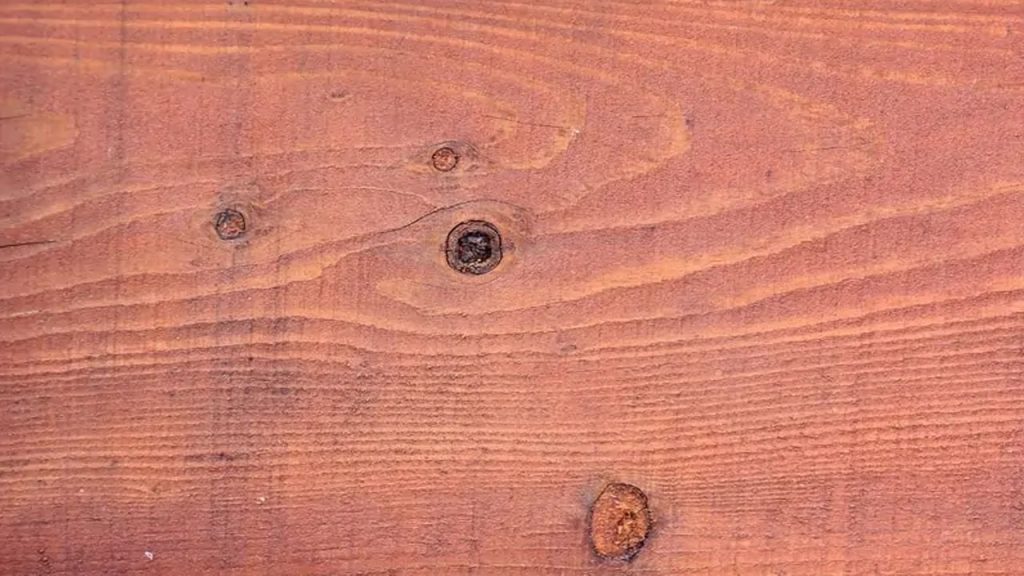 قیمت چوب ردوود (Redwood)