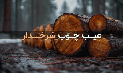 عیب چوب درخت سرخدار