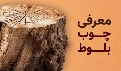 معرفی چوب بلوط؛ آشنایی با انواع چوب بلوط