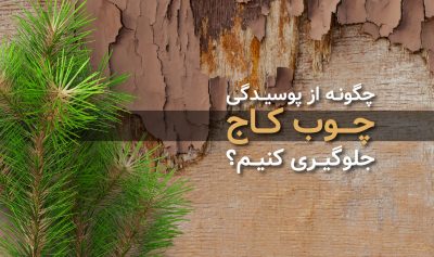 چطور از پوسیدگی چوب کاج جلوگیری کنیم؟